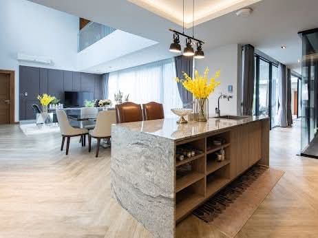 Luxury Modern Contemporary House Preview 6