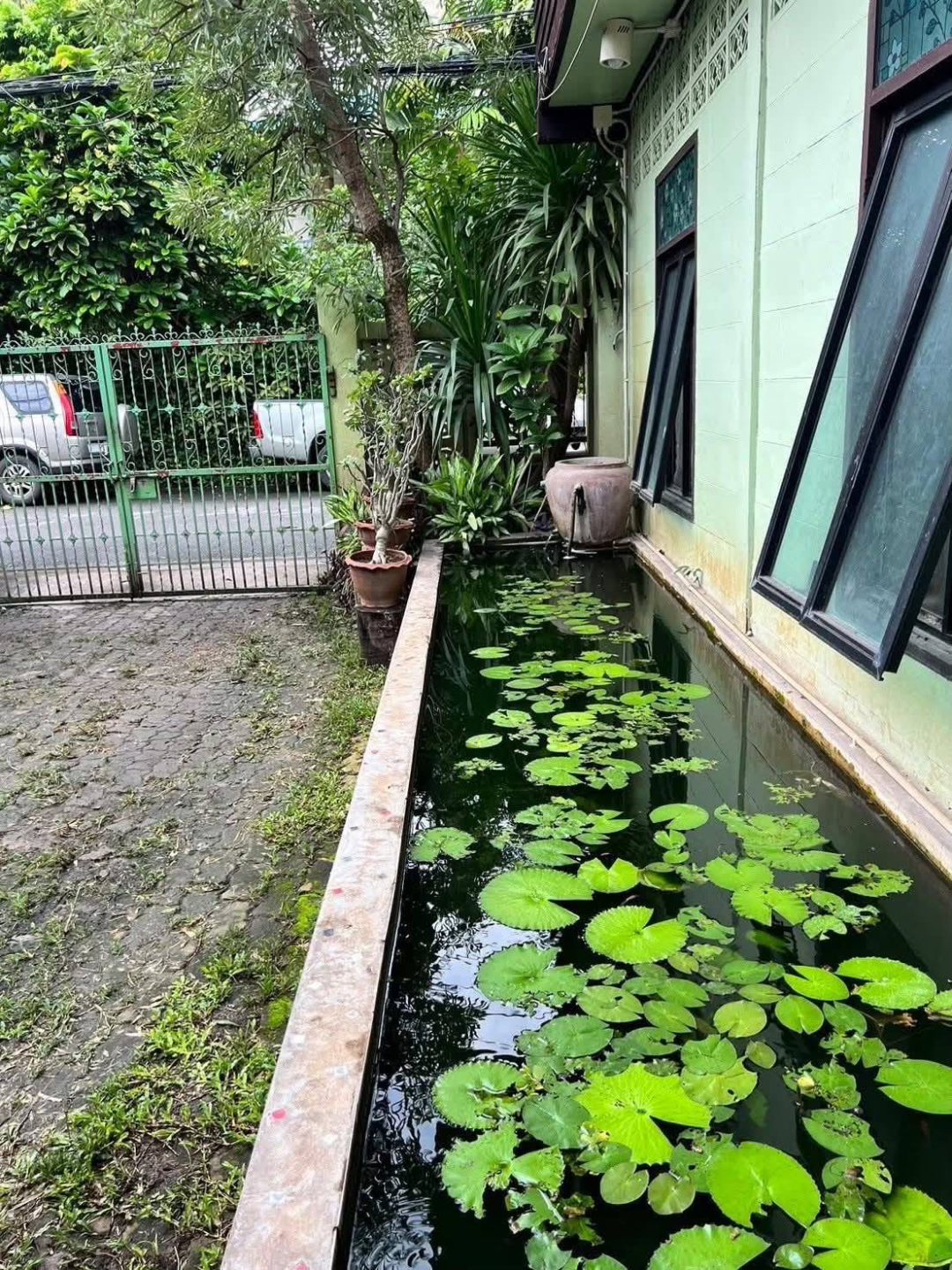 House with Land in the Heart of Chiang Mai Old City Preview 2