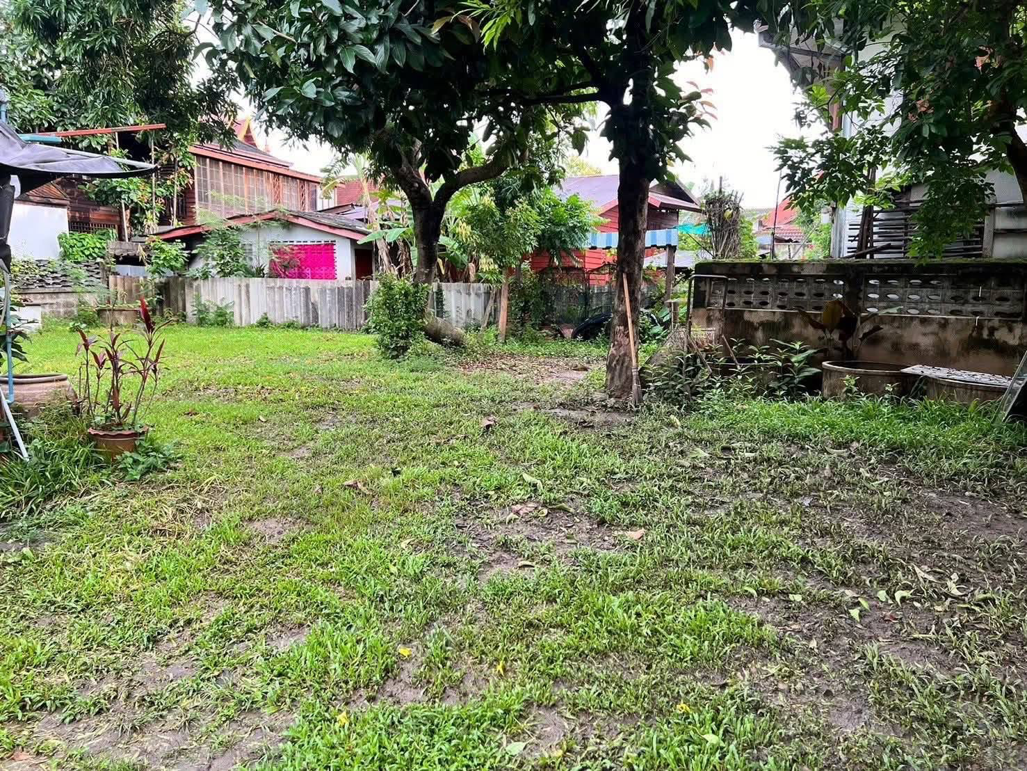 House with Land in the Heart of Chiang Mai Old City Preview 3