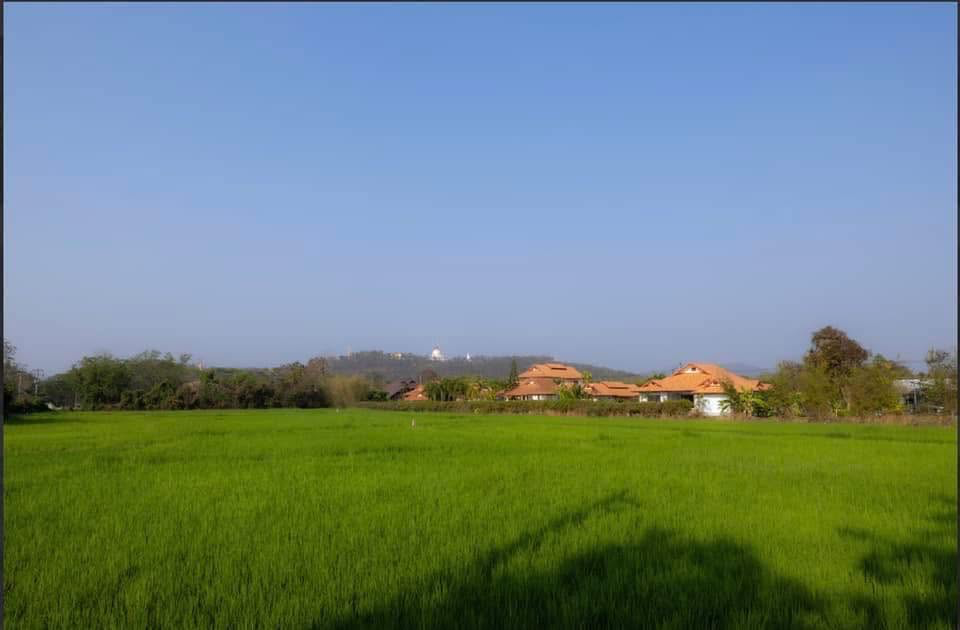 Beautiful Land for Sale Preview 2