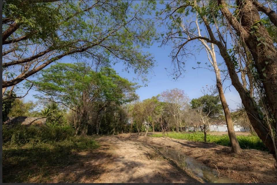 Beautiful Land for Sale Preview 7
