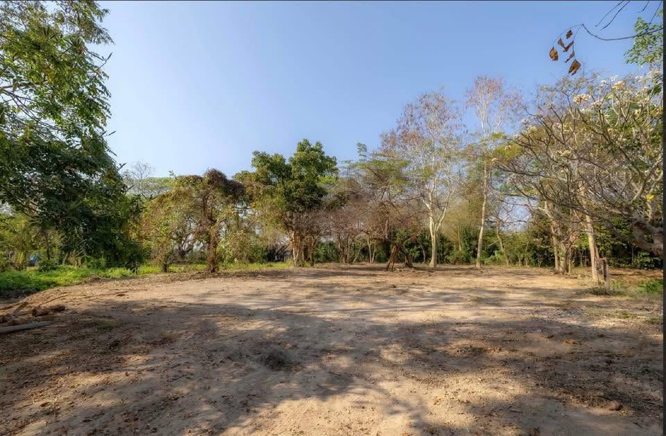 Beautiful Land for Sale Preview 6