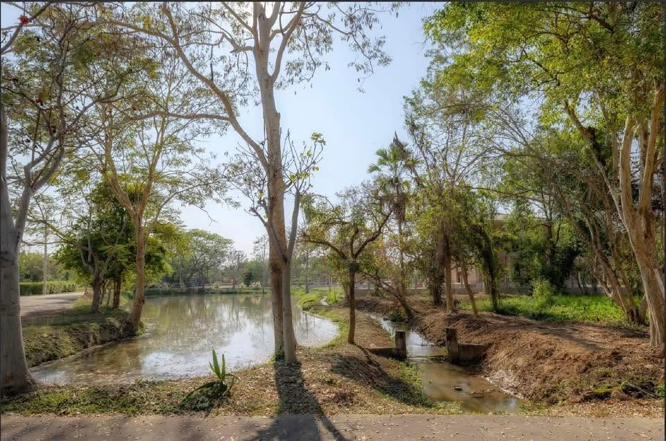 Beautiful Land for Sale Preview 5