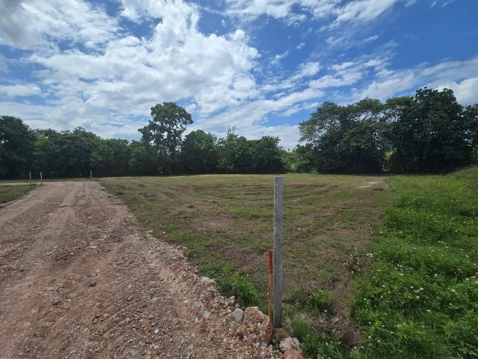 Land for Sale Mountain View Preview 5